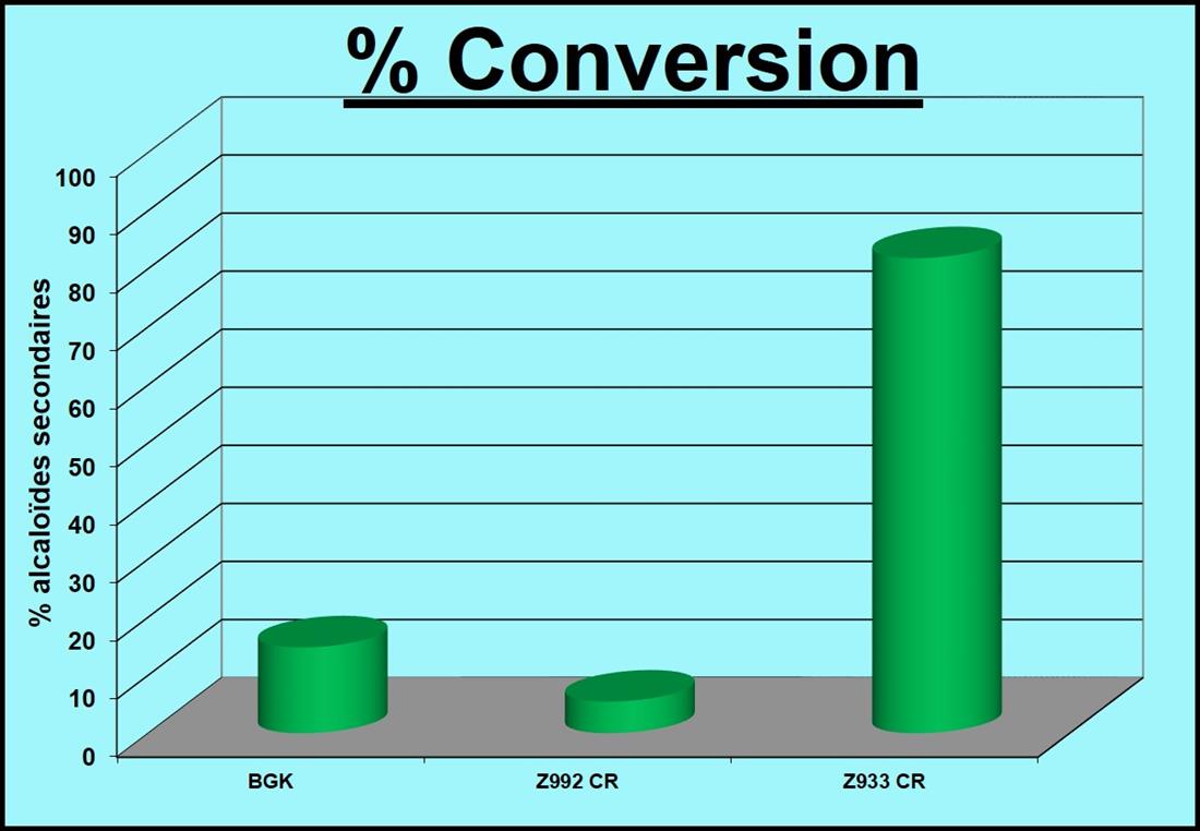 % Conversion