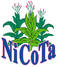 nicota logo